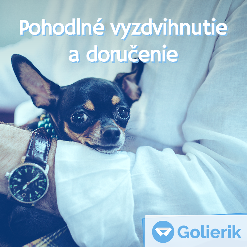 Pohodlné vyzdvihnutie a doručenie